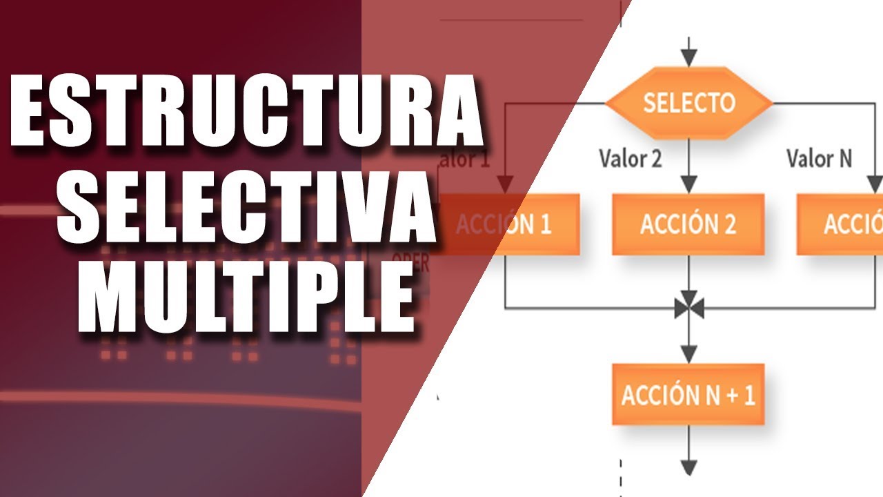 Como usar la estructura selectiva multiple jairo galeas